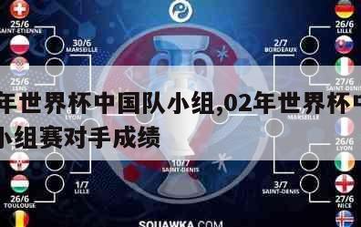 02年世界杯中国队小组,02年世界杯中国队小组赛对手成绩