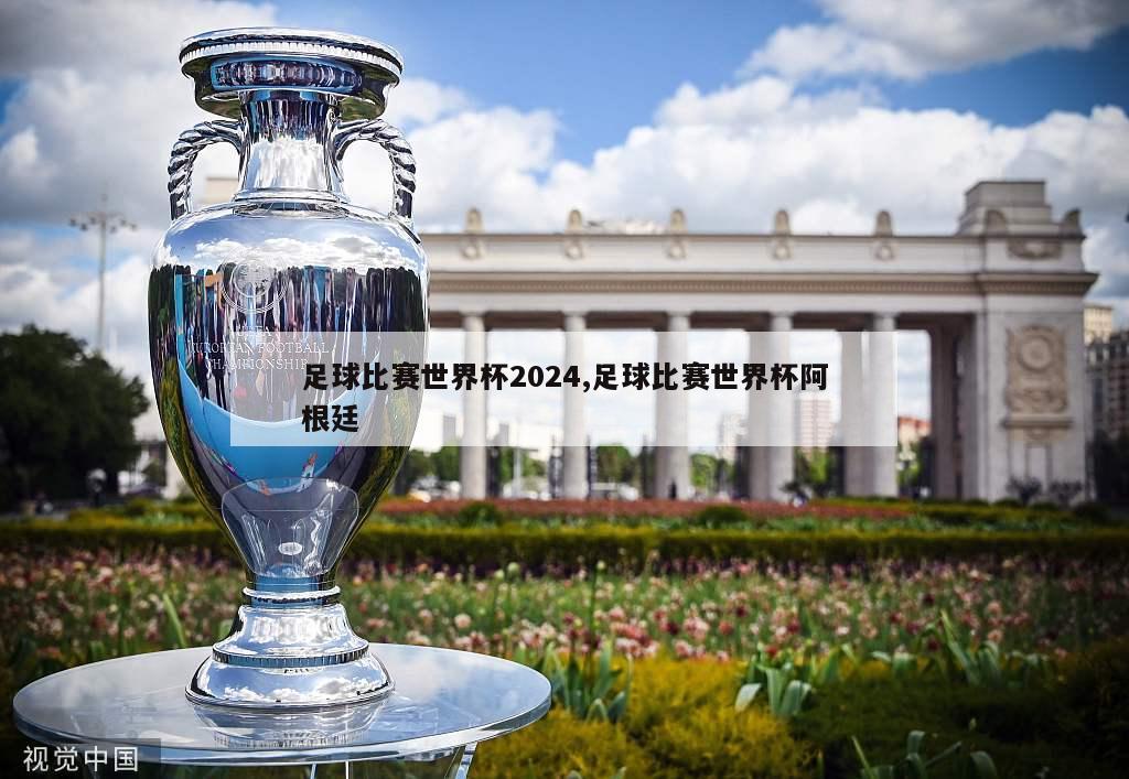 足球比赛世界杯2024,足球比赛世界杯阿根廷