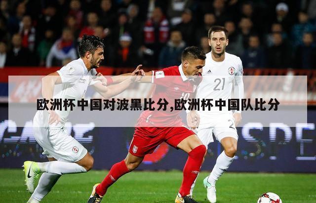 欧洲杯中国对波黑比分,欧洲杯中国队比分