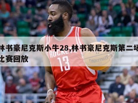 林书豪尼克斯小牛28,林书豪尼克斯第二场比赛回放