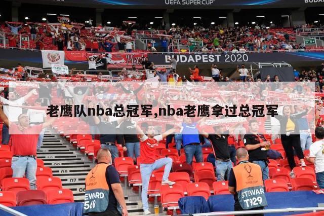 老鹰队nba总冠军,nba老鹰拿过总冠军