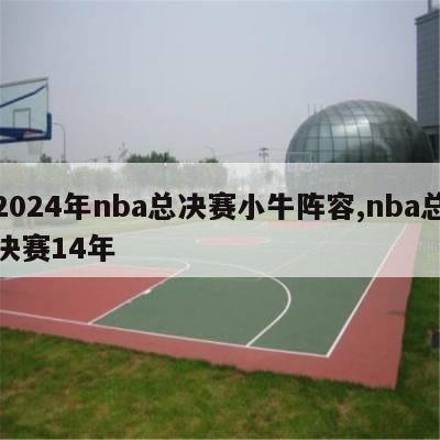 2024年nba总决赛小牛阵容,nba总决赛14年