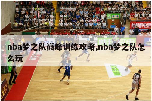 nba梦之队巅峰训练攻略,nba梦之队怎么玩