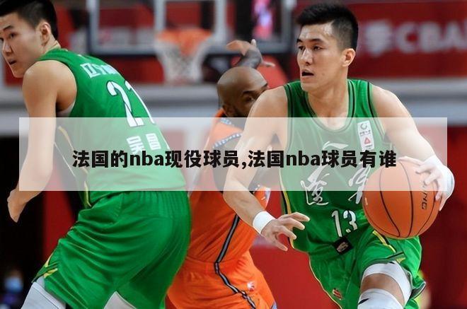 法国的nba现役球员,法国nba球员有谁