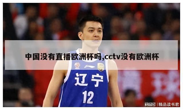 中国没有直播欧洲杯吗,cctv没有欧洲杯