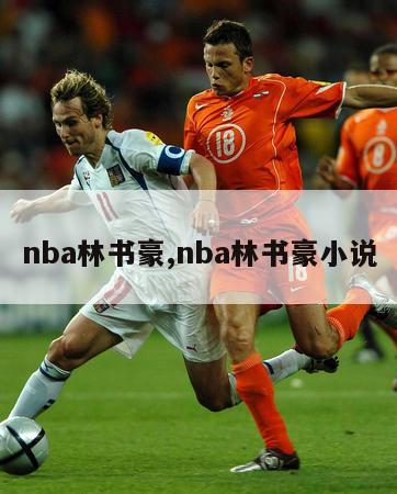 nba林书豪,nba林书豪小说