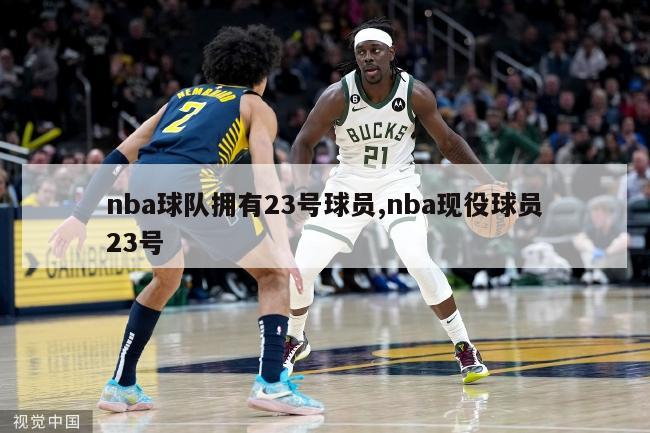 nba球队拥有23号球员,nba现役球员23号